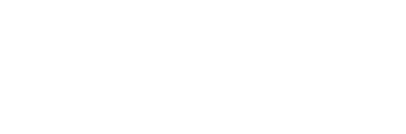 Google Gemini 2.5